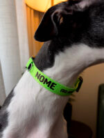 Coleira personalizada para cachorro identificação- Colar de identificação Oops! Dog