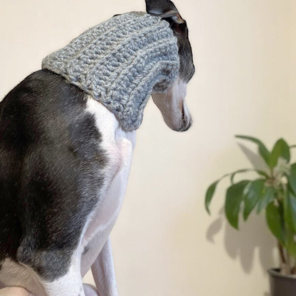 Gola para galgos cinza