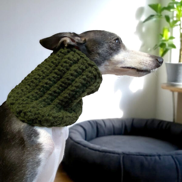 Gola para galgos verde musgo
