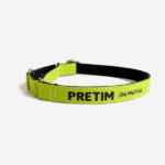 Coleira martingale personalizada verde claro - Imagem 2