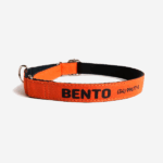 Coleira martingale personalizada laranja