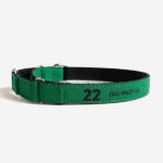 Coleira martingale personalizada verde