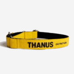 Coleira martingale personalizada amarela