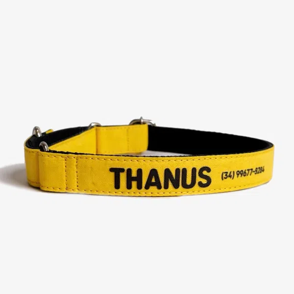 Oops.dog coleira martingale 8