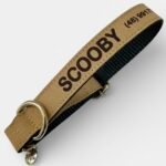 Coleira com Nome para Cachorro | Coleira Pet Personalizada