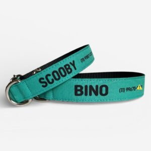 Coleira com Nome para Cachorro | Coleira Pet Personalizada