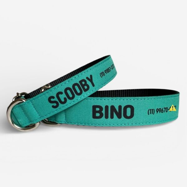 Coleira com Nome para Cachorro | Coleira Pet Personalizada