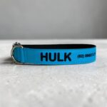 Coleira com Nome para Cachorro | Coleira Pet Personalizada