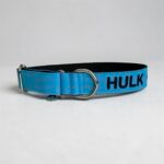 Coleira Personalizada para Cachorro com Nome e Telefone – Cor Azul - Imagem 7
