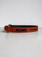 Coleira Personalizada para Cachorro com Nome e Telefone – Cor Terracota
