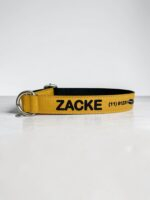Coleiras personalizadas com nome e telefone- Coleira pet personalizada- Coleira com telefone