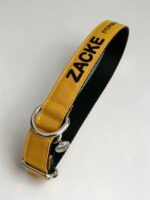 Coleiras personalizadas com nome e telefone- Coleira pet personalizada- Coleira com telefone