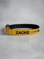 Coleiras personalizadas com nome e telefone- Coleira pet personalizada- Coleira com telefone