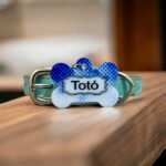 Plaquinha identificação pet pixel