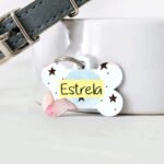 Tag- plaquinha identificação pet cód-31