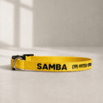 Coleira para Gato Personalizada com Nome e Telefone | Fecho Breakaway Anti-Enforcamento | Gema