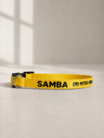 Coleira para Gato Personalizada com Nome e Telefone | Fecho Breakaway Anti-Enforcamento | Gema