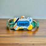 Plaquinha identificação pet - cód411