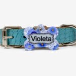 Plaquinha de identificação pet