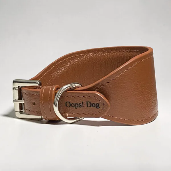 Coleira galgo Oops dog 2 1