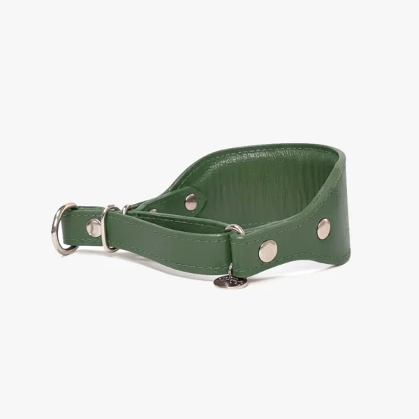 Coleira martingale Oops Dog 10