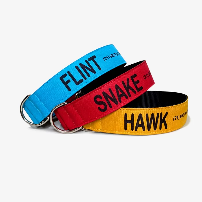 Coleira personalizada