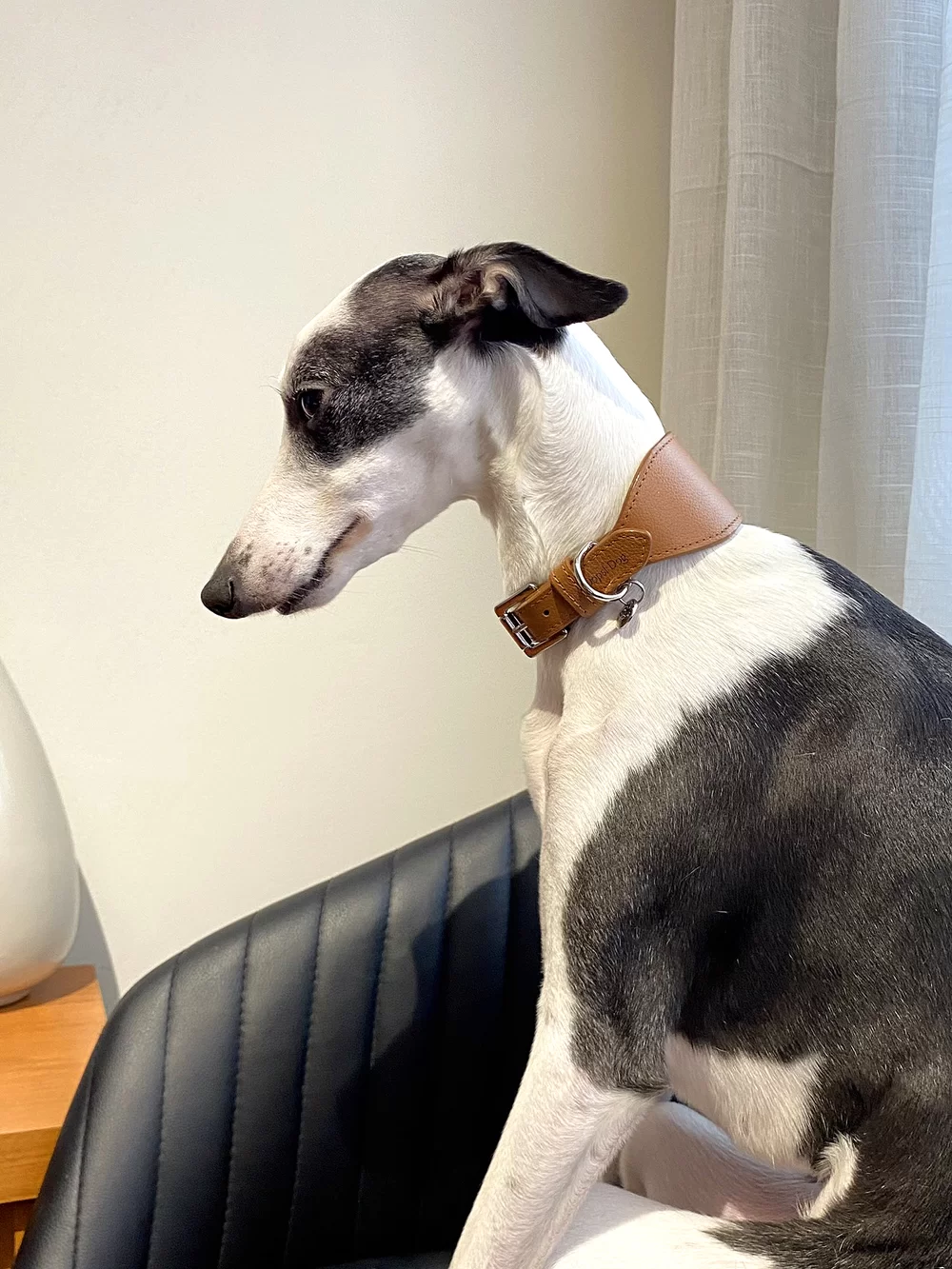 Coleira para galgo em couro marrom 2