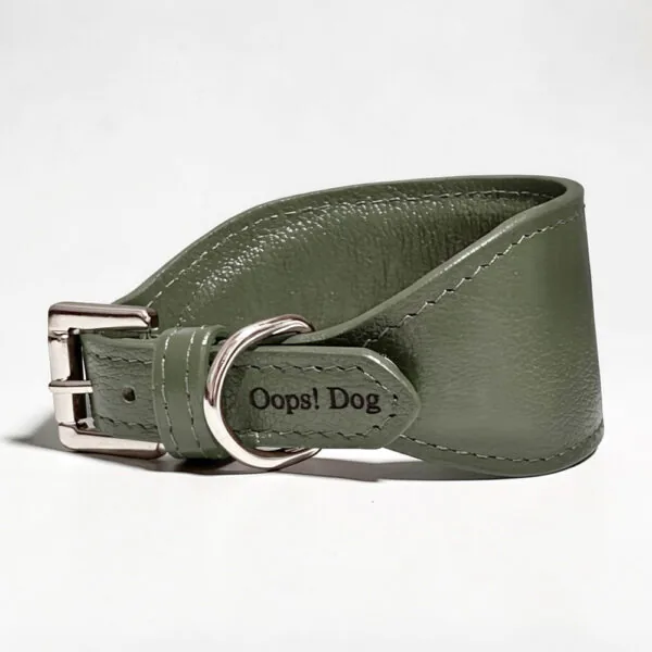 Coleira verde para galgos Marca Oops Dog