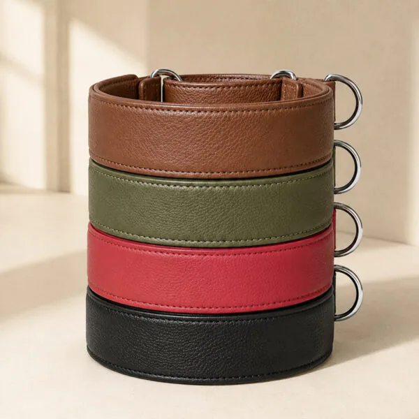 Coleiras martingale Oops dog