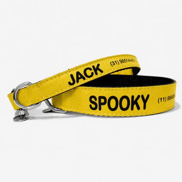 F9FEE61D A290 45E8 913E 807B269C20D7