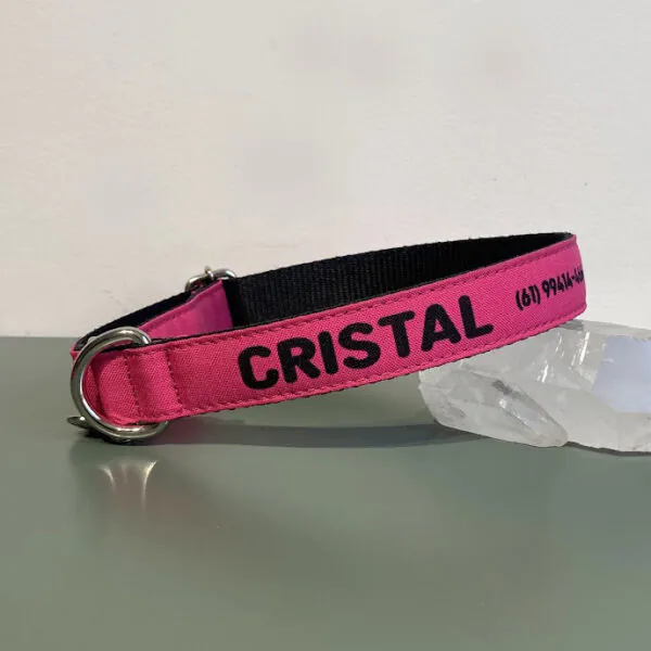 Coleira para cachorro com nome Pink
