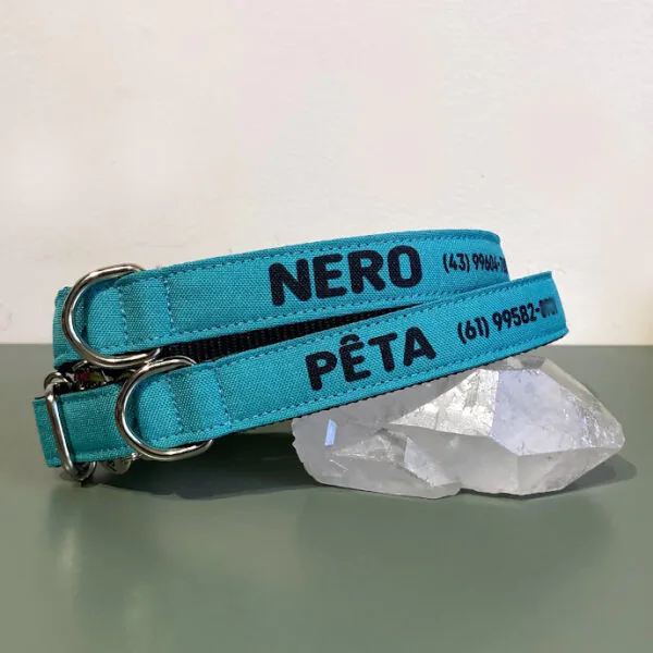Coleira para cachorro com nome turquesa