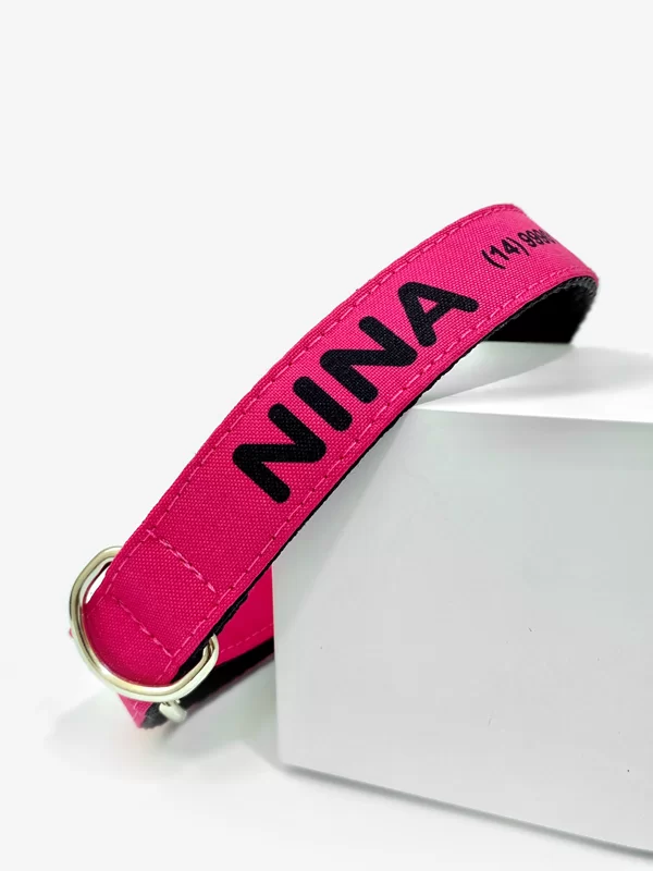 Coleira personalizada para cachorro com nome e telefone - Imagem 9