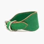 Coleira galgo Green Snake