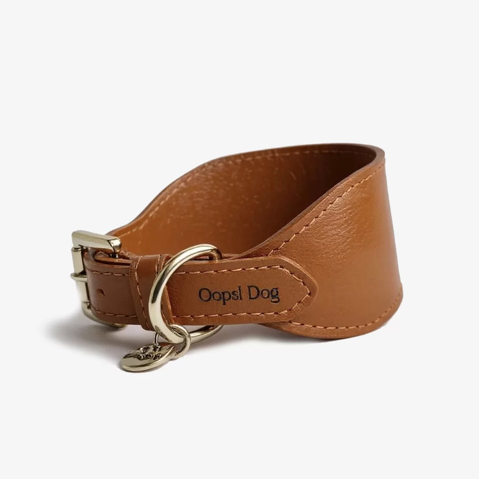 Coleira galgo Italiano Oops dog