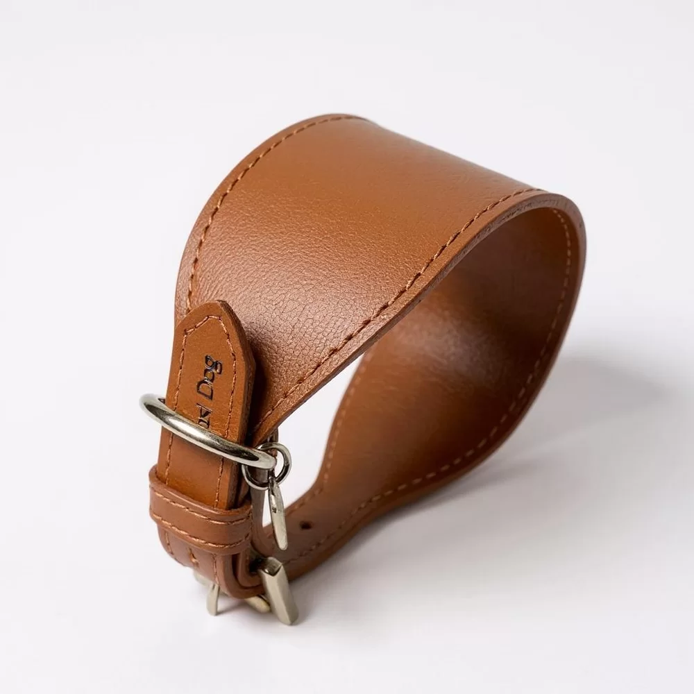 Coleira galgo Italiano Oops dog