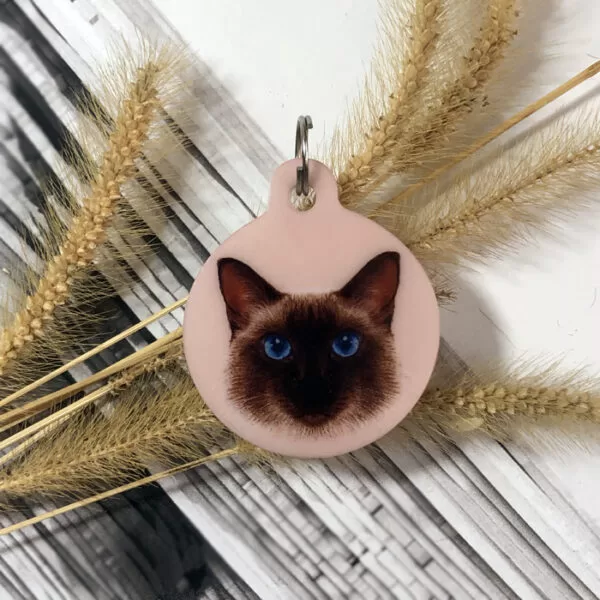 Tag identificação gato face cat SIAMES