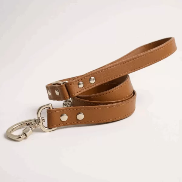 Photoroom 20250718 205717