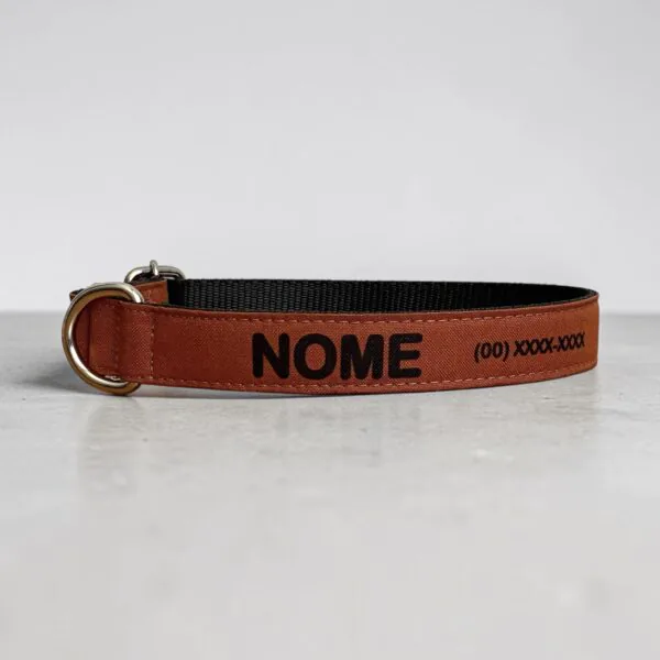 Coleiras personalizadas com nome e telefone- Coleira pet personalizada- Coleira com telefone