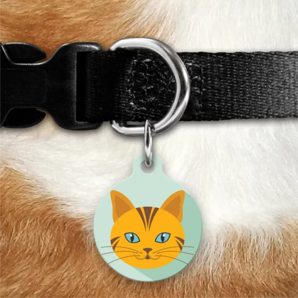 plaquinha Identificação gato