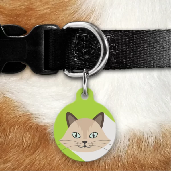 plaquinha Identificação gato