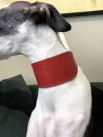 Coleira e guia galgo couro classic red - Imagem 5