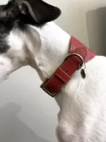 Coleira e guia galgo couro classic red - Imagem 7